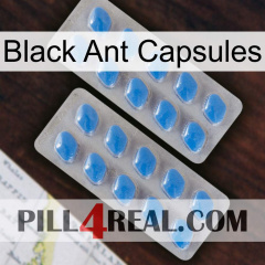 Black Ant Capsules 23